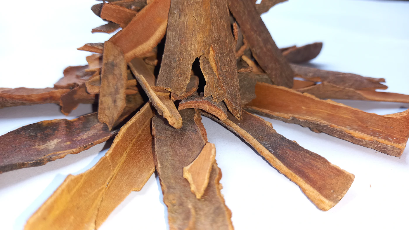 Pieces of dried cinnamon bark arranged on a white background